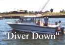 DiverDown.jpg (26341 bytes)