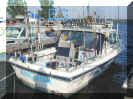 boat.jpg (60726 bytes)